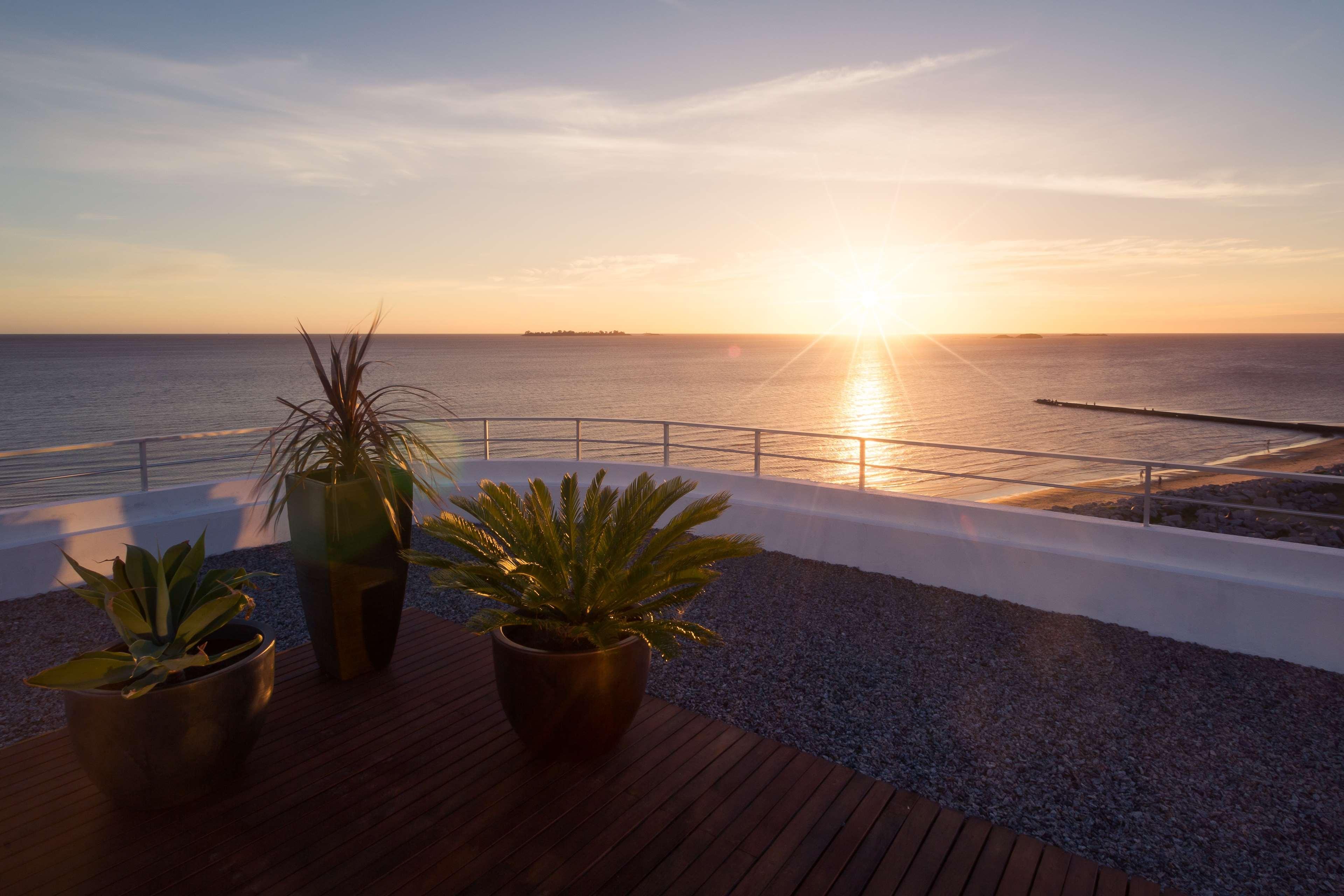 فندق Dazzler By Wyndham Colonia كولونيا ديل ساكرامينتو المظهر الخارجي الصورة